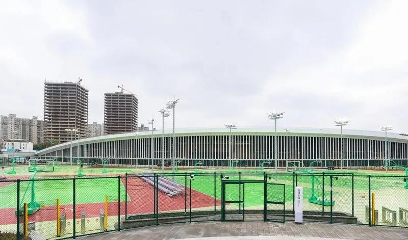 重庆体育发展趋势,重庆体育发展公司