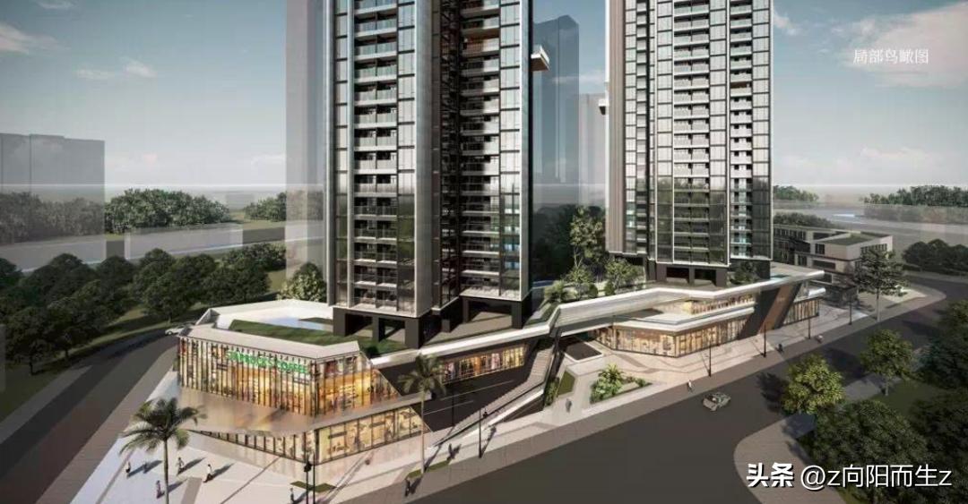 龙岗星龙园,大运星龙园