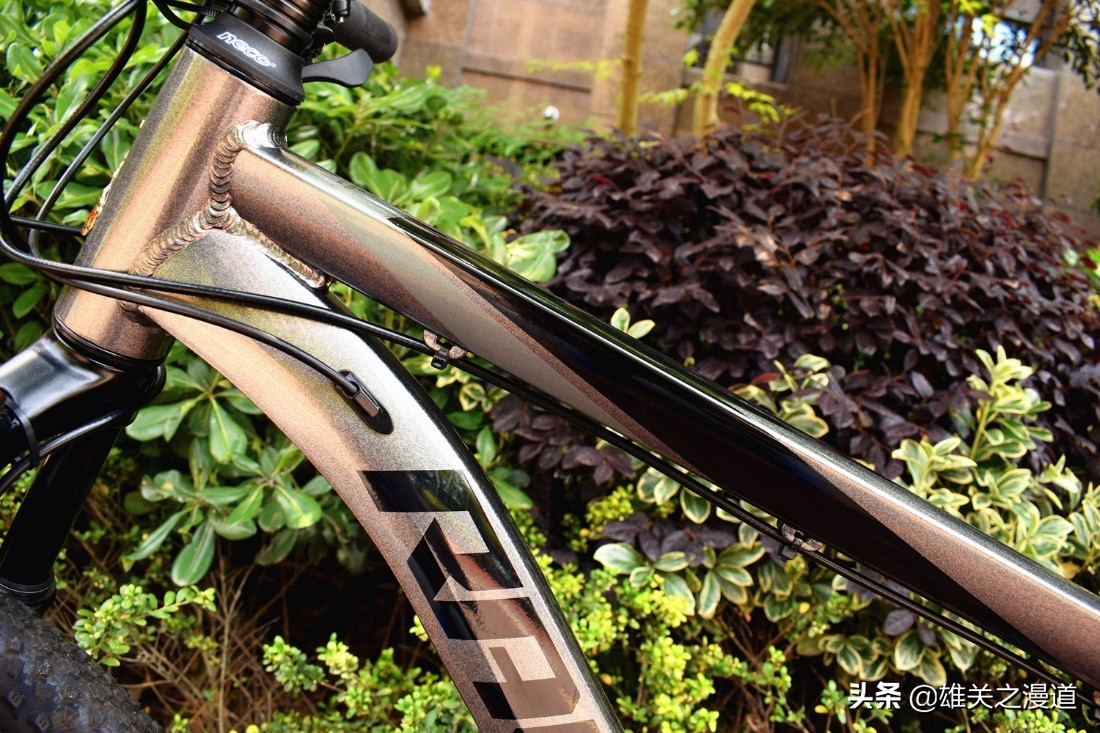 选了RALEIGH兰令THANE山地车，在疫情过后开启绿色通勤