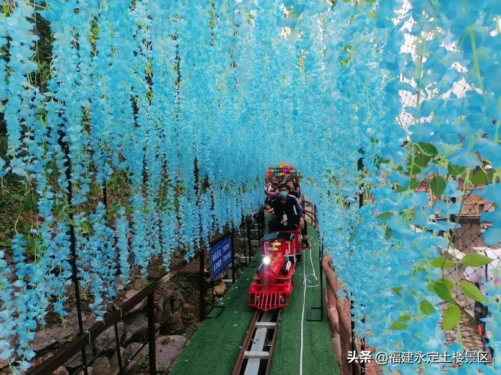 惊喜来袭！永定土楼景区免费畅游