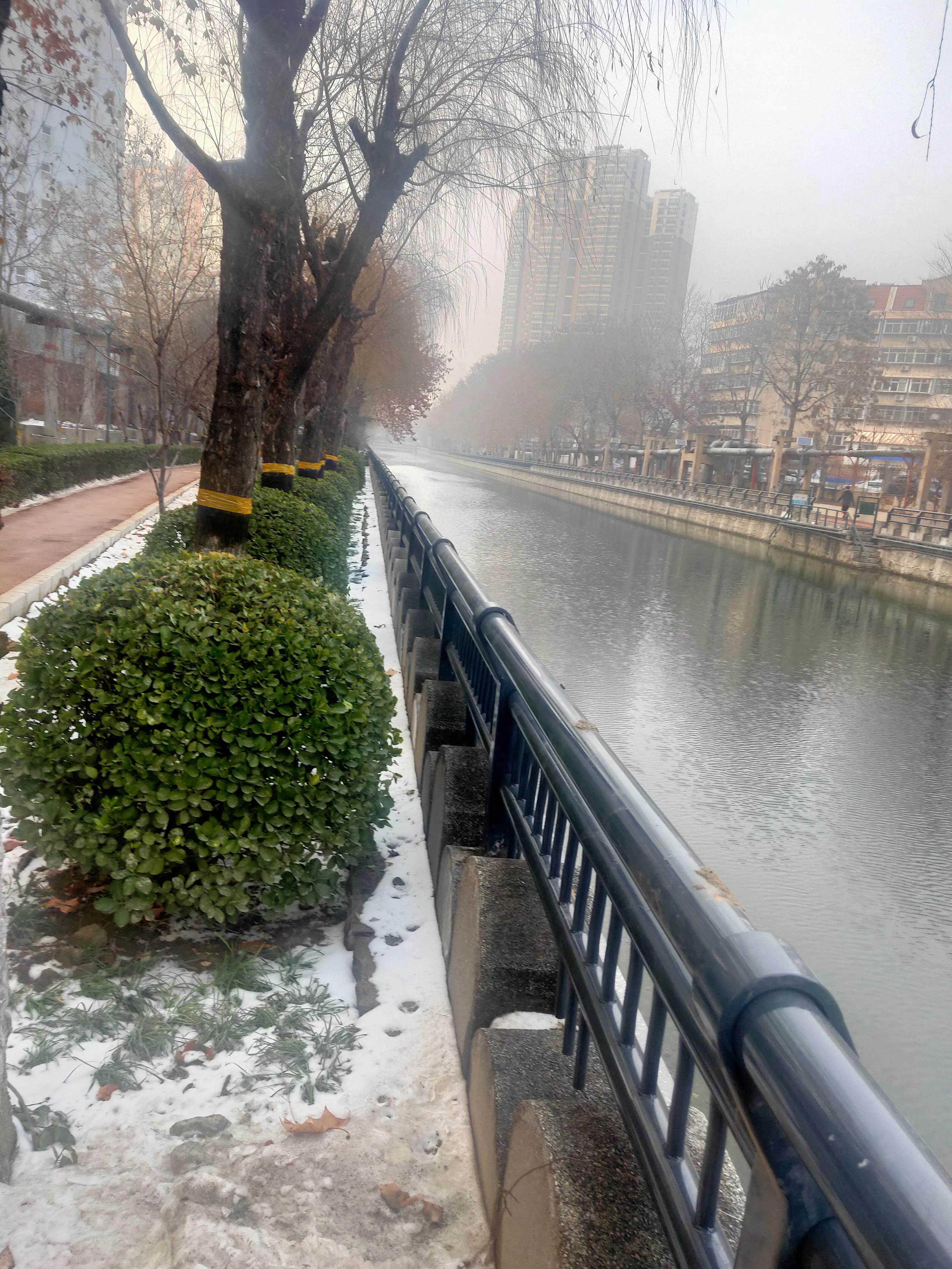 小说涅槃路：鱼牌