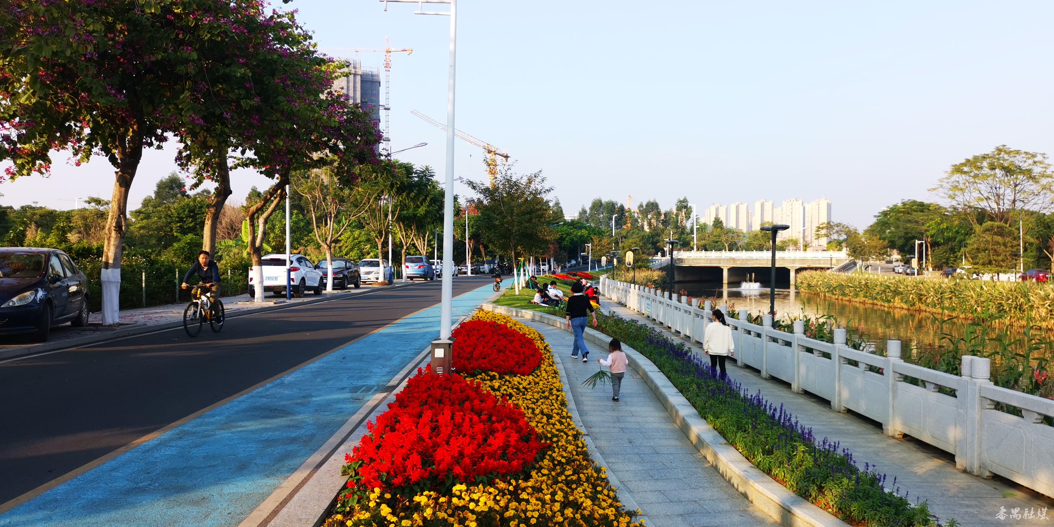 一脉碧水,两岸碧道!番禺钟村街胜石河周边美翻了