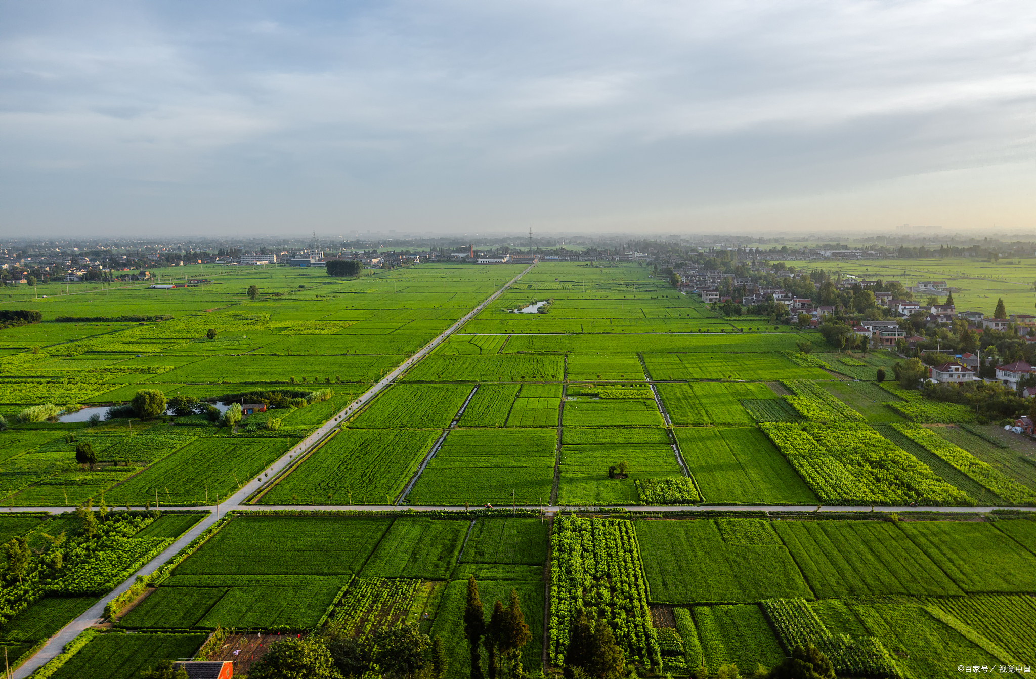 上海败家小伙子最新视频,上海败家男