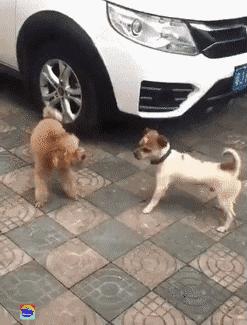 成功学大师被捕,成功学大师被捕现场