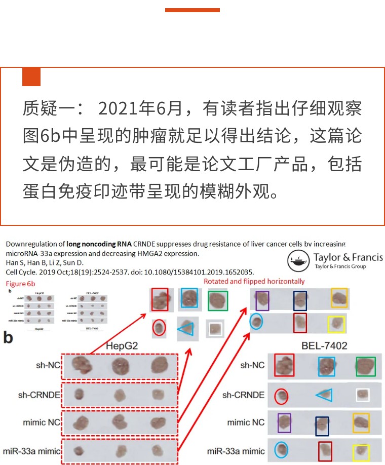 中国医大四院的论文数据疑点重重，读者直指来自论文工厂