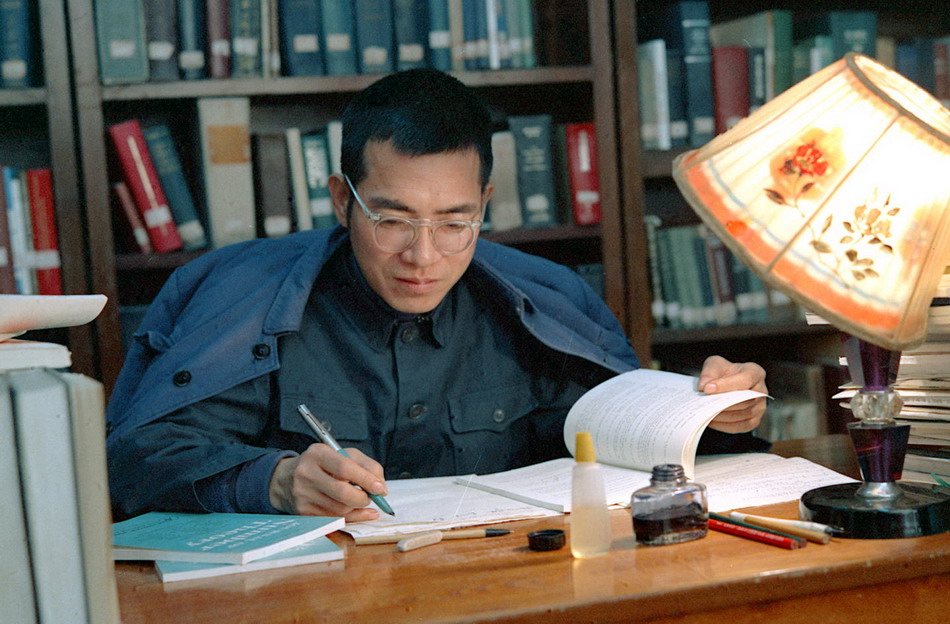 陈景润去世后由昆再婚没有,数学家陈景润怎么去世的