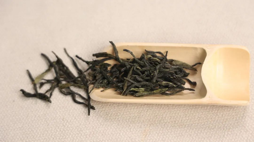 蒲公英和金银花是“好搭档”，不妨坚持泡水喝，但最好了解这3点