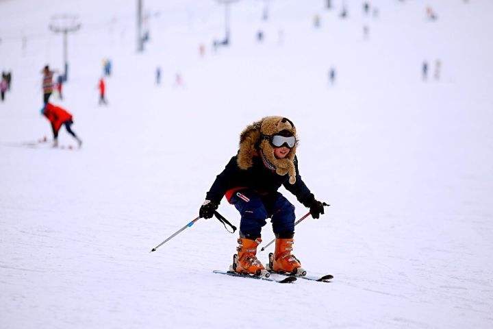 哈尔滨体育学院里有没有专科,哈尔滨体育学院专业排名
