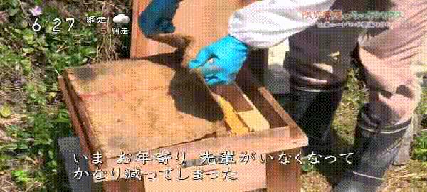 不用交房租还管吃喝？这群年轻男女躲进山村，做了一个“共生舍”