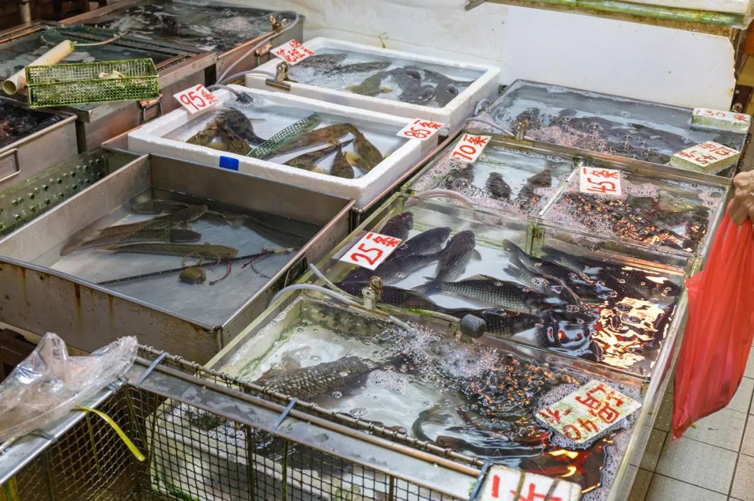 鱼怎样做才更香更美味,知道了一些事