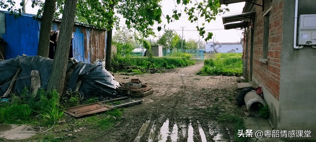 农村大龄剩男以后的一生该怎么过,农村剩男和城市剩男的根本原因