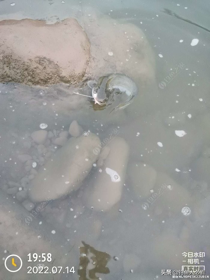 7鏈堥奔,7鏈堥奔浜у嵉