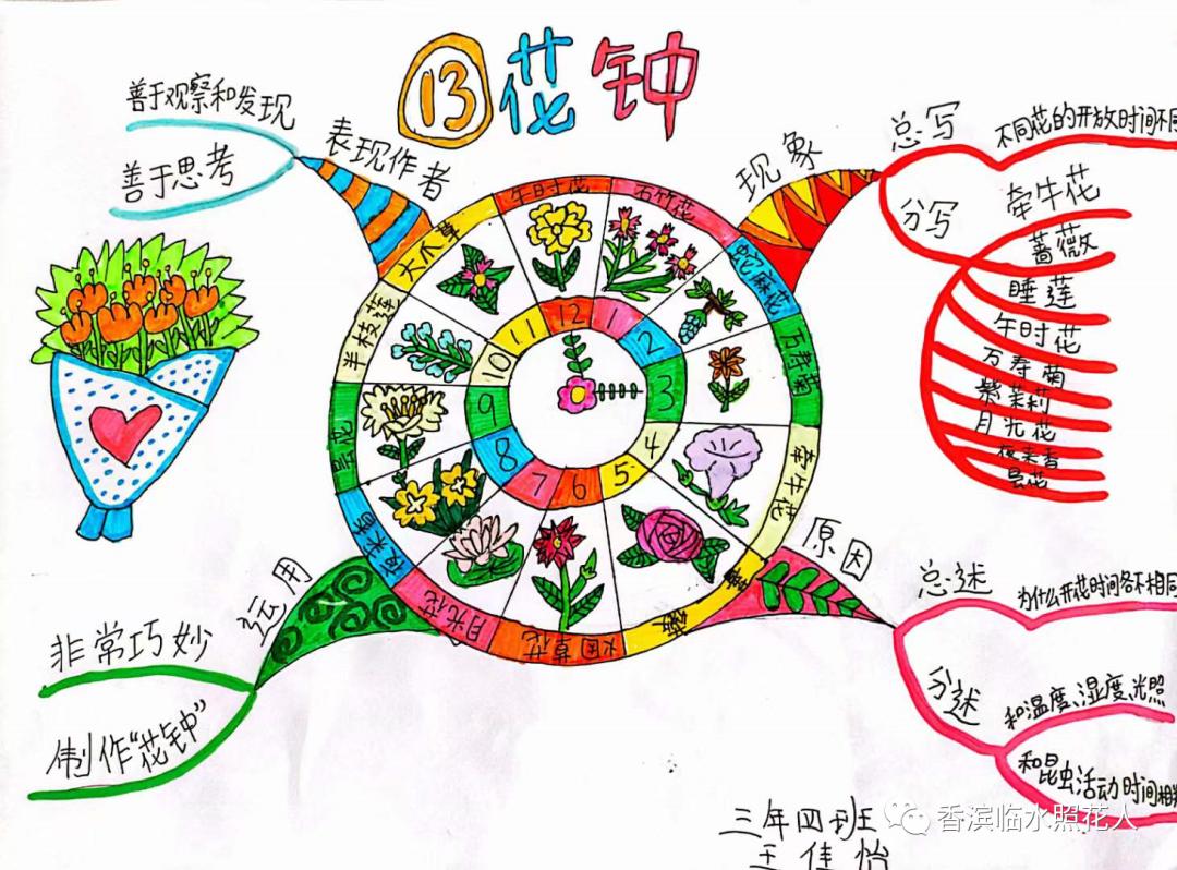 三年级下册语文花钟思维导图简单,三年级下册第13课花钟做思维导图