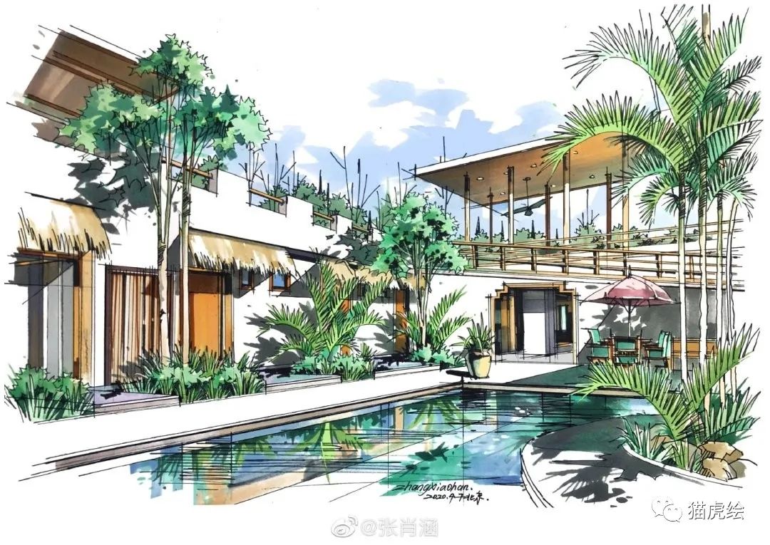 2022猫虎绘暑假手绘班招生简章「线上+线下」