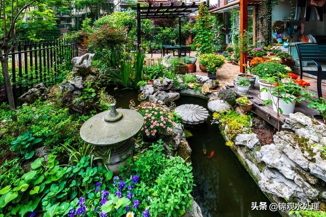 锦鲤鱼入缸三天水变浑,养锦鲤的水老是浑怎么回事