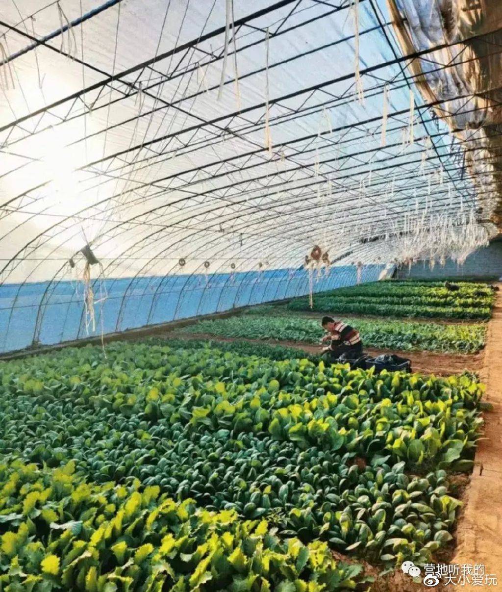 北京适合孩子玩的农场,一年四季都可以去的亲子农场