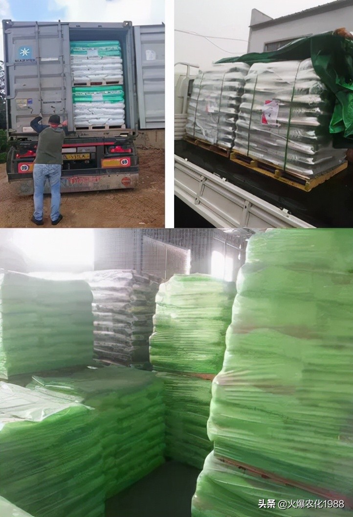 意大利、荷兰、比利时原装进口，交500顶2000；支持货到付款