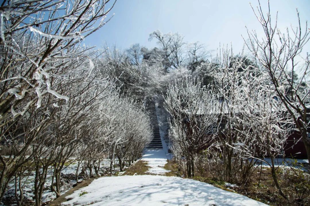 咸宁温泉旅行攻略,去咸宁泡温泉的攻略