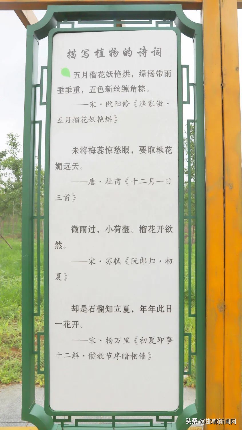 峰峰网红打卡地,寓教于玩幼儿园