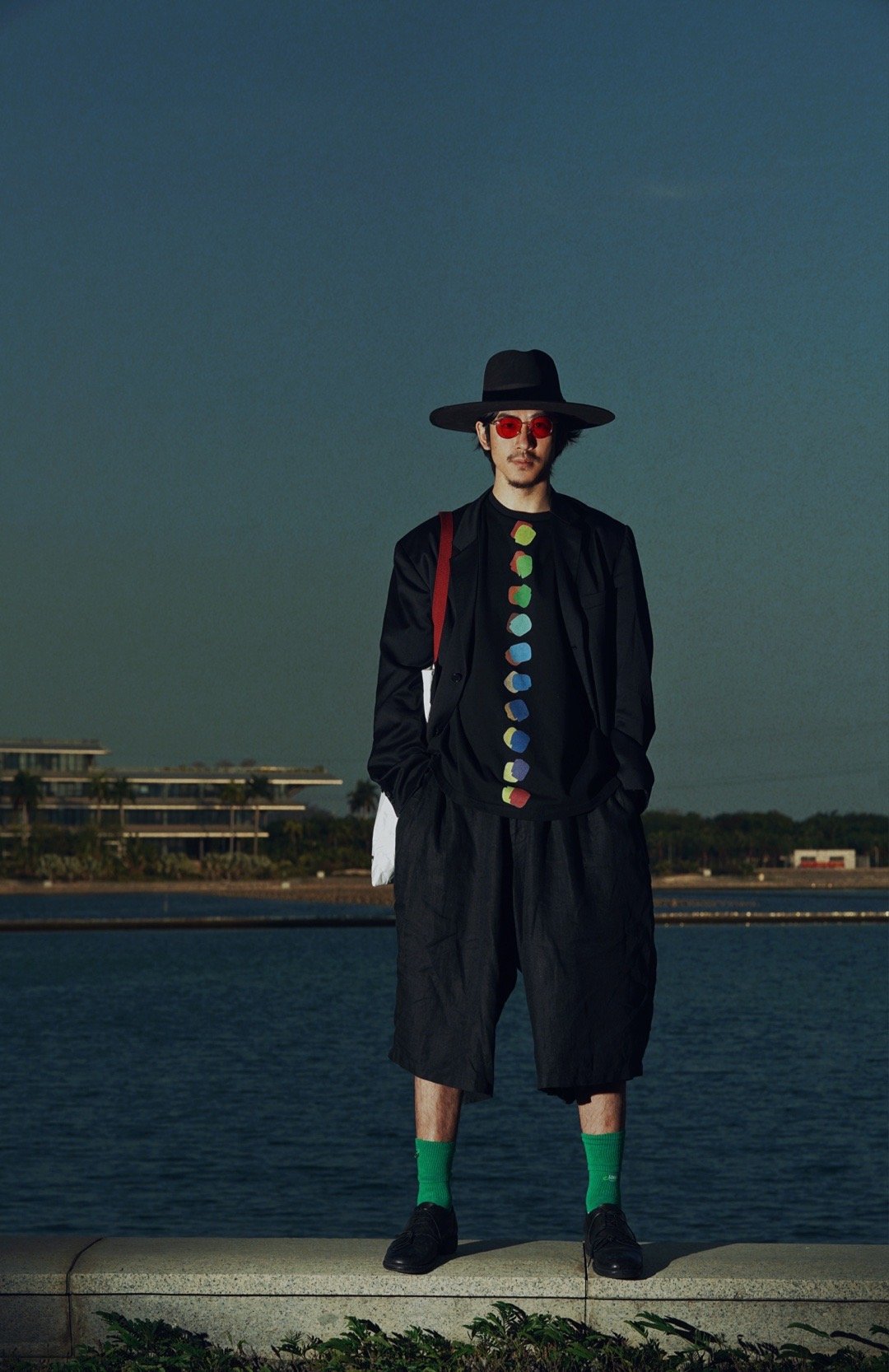 青鸟飞鱼现状,青鸟飞鱼解散