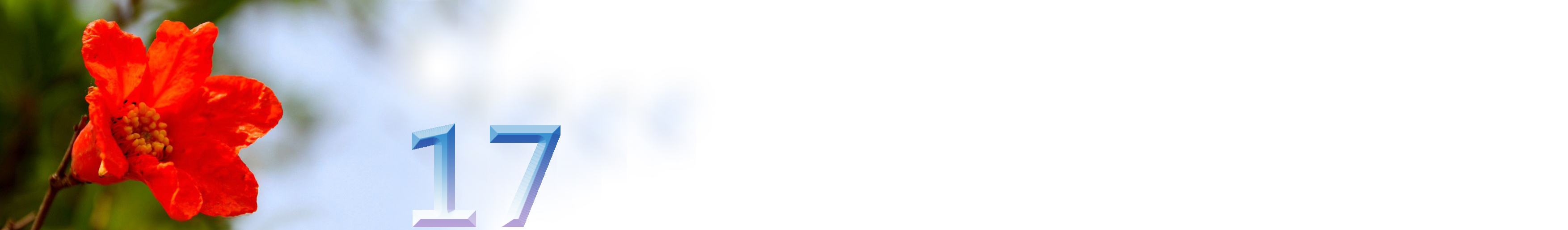 五月石榴花开的唯美诗句,关于石榴花的美文和诗句