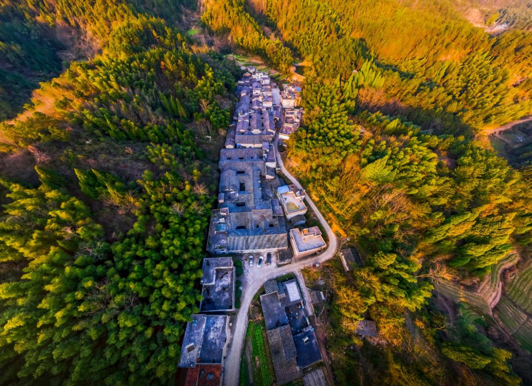 跟着chatgpt学习,跟着gps去旅行