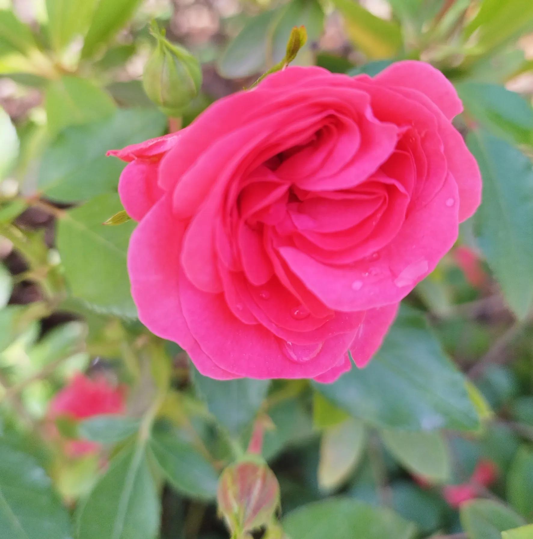 老公总是对孩子大口大叫,挑战30天教孩子写作业不生气