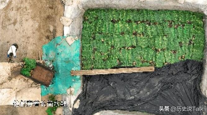 315之前，腌菜厂大汉竟然练成了“金刚脚”，“神药”使老人疯狂