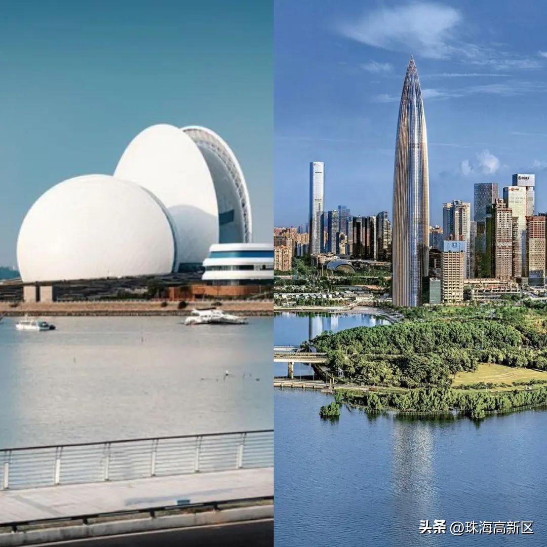 深珠同城|他山之石,可以攻玉!