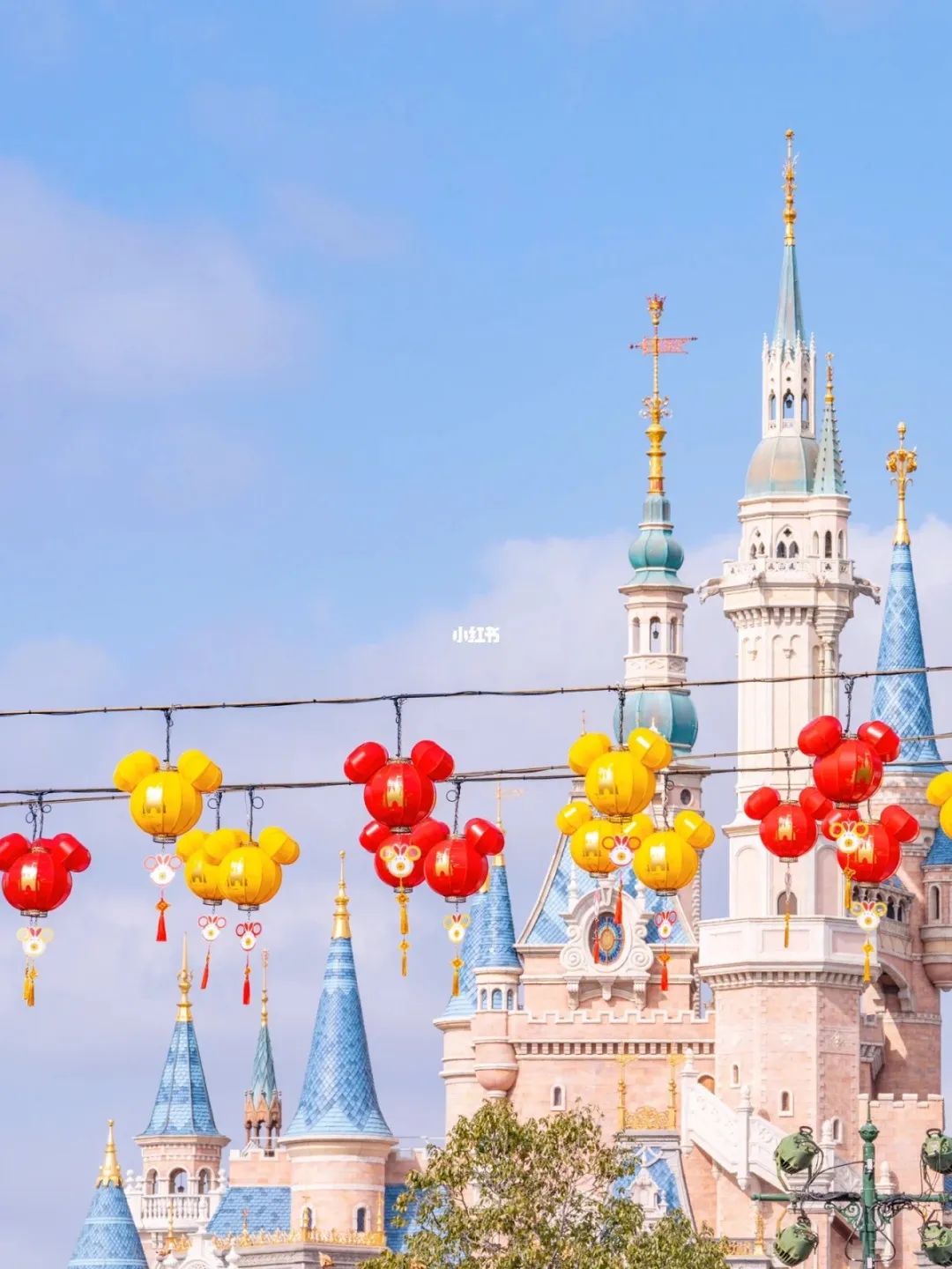 上海国际路亚展第三天,上海路亚展