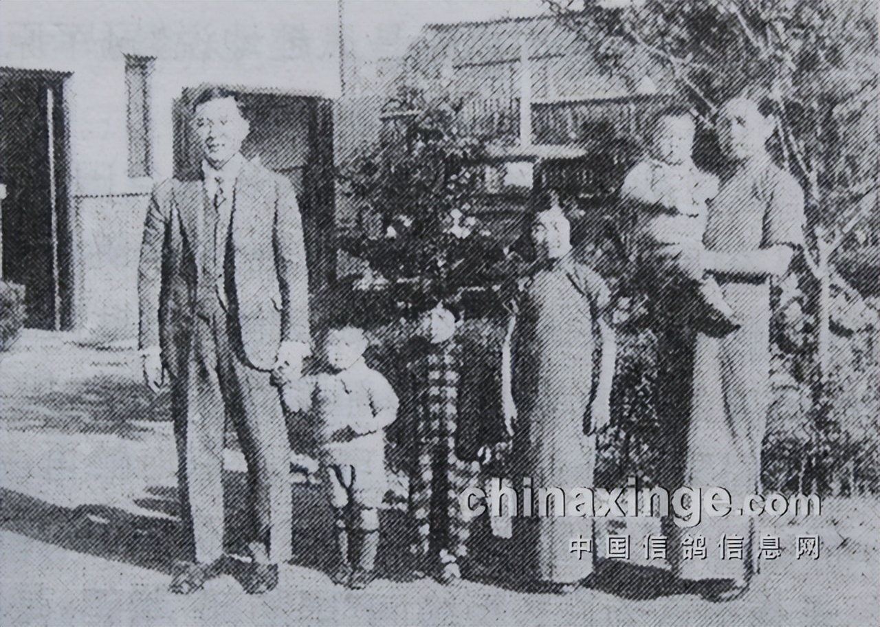 买上海地产的钱买赛鸽，李梅龄培育李种之中国顶尖社群聚居区