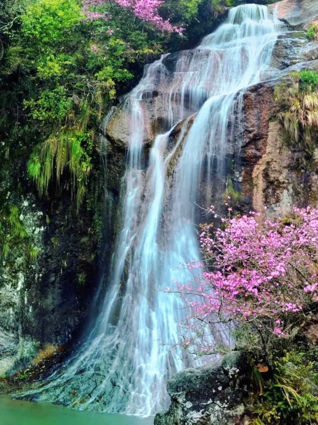 海美、小吃巨好吃！这个神还原游戏世界的小城，不该这样被埋没！