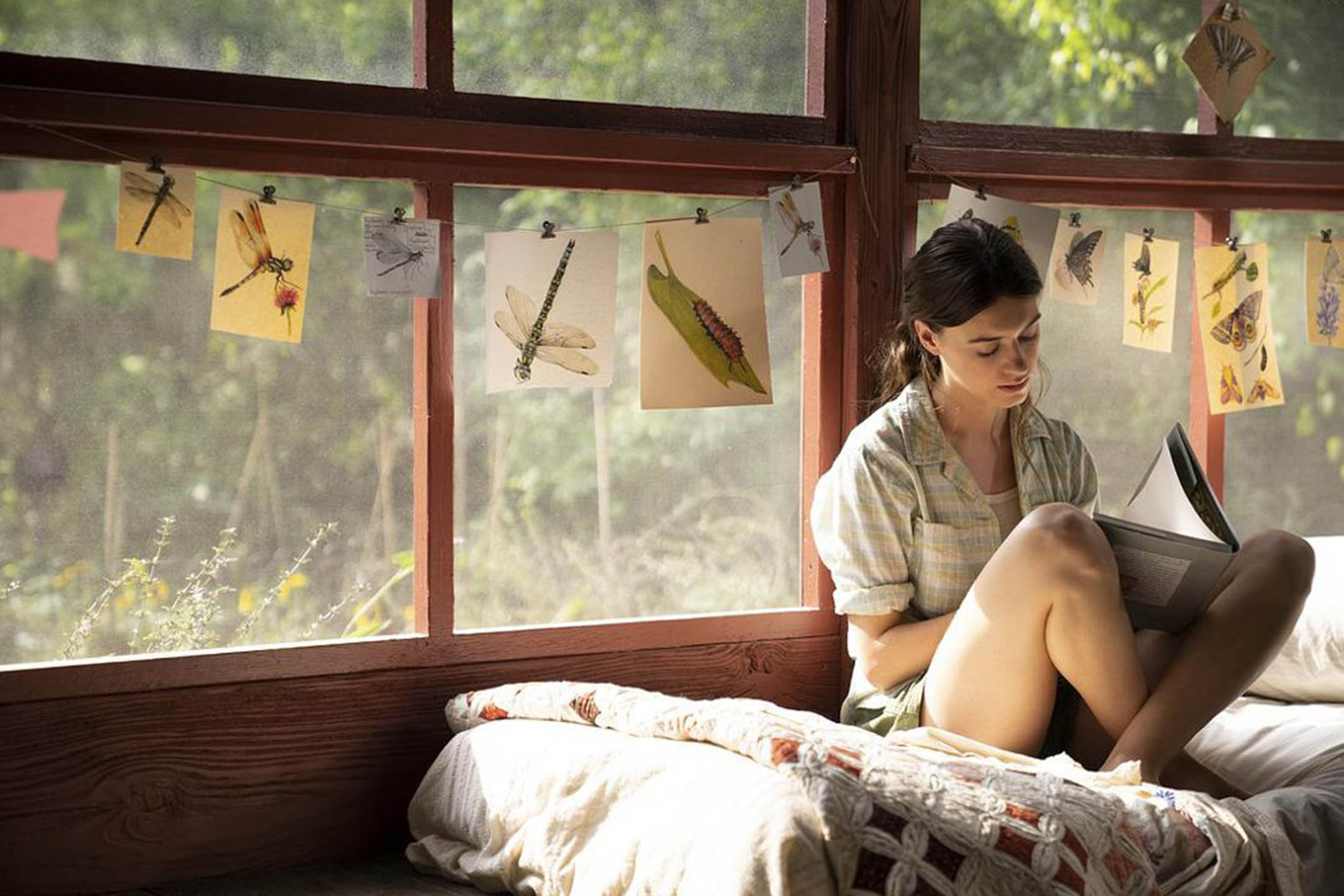 历届奥斯卡最佳影片提名及获奖,2022年奥斯卡最佳女主角得奖影片