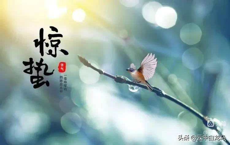 张甫升七律诗欣赏,张甫升七律组诗