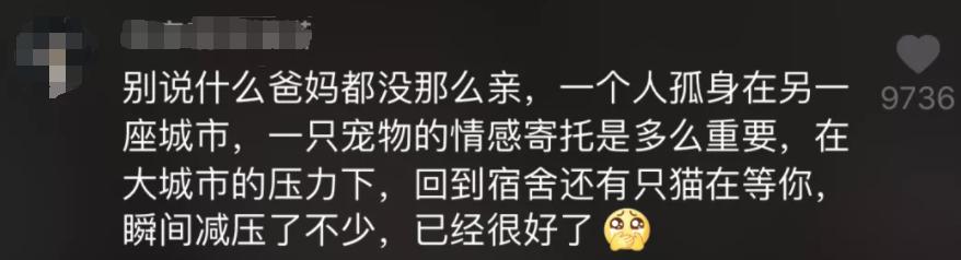 我在网店买三文鱼喂猫，结果被人网暴追骂两年，还造黄谣！