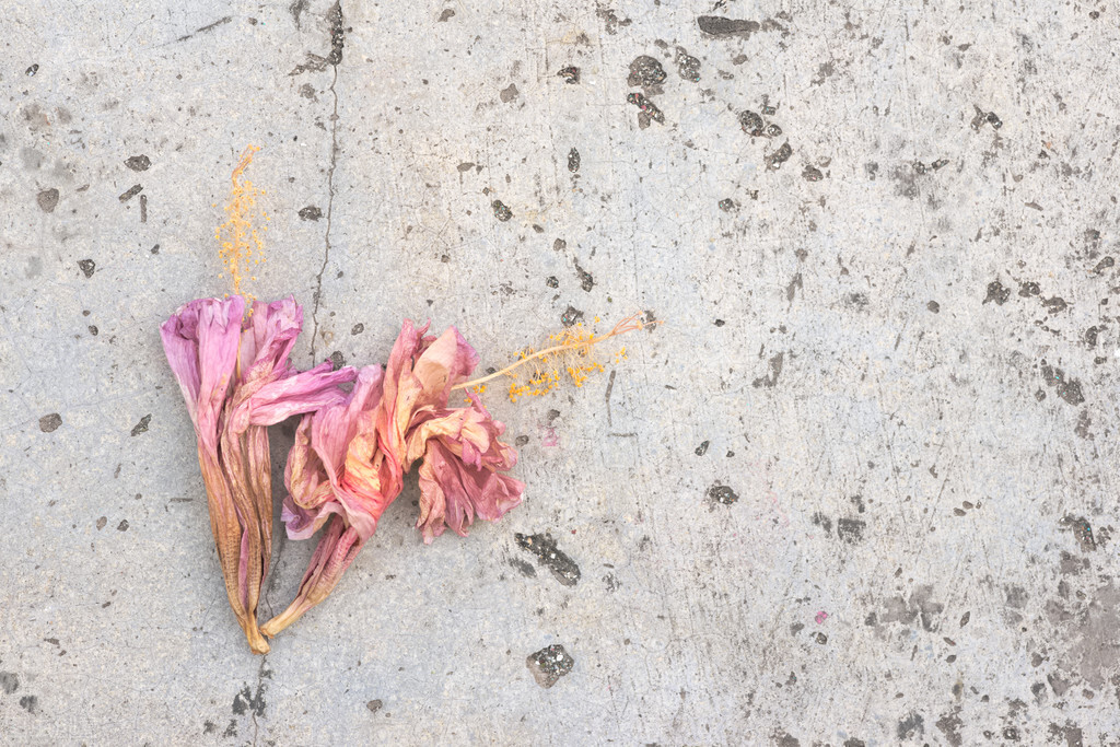 婚外情想回归家庭怎么处理,婚外情想回归家庭正确处理办法