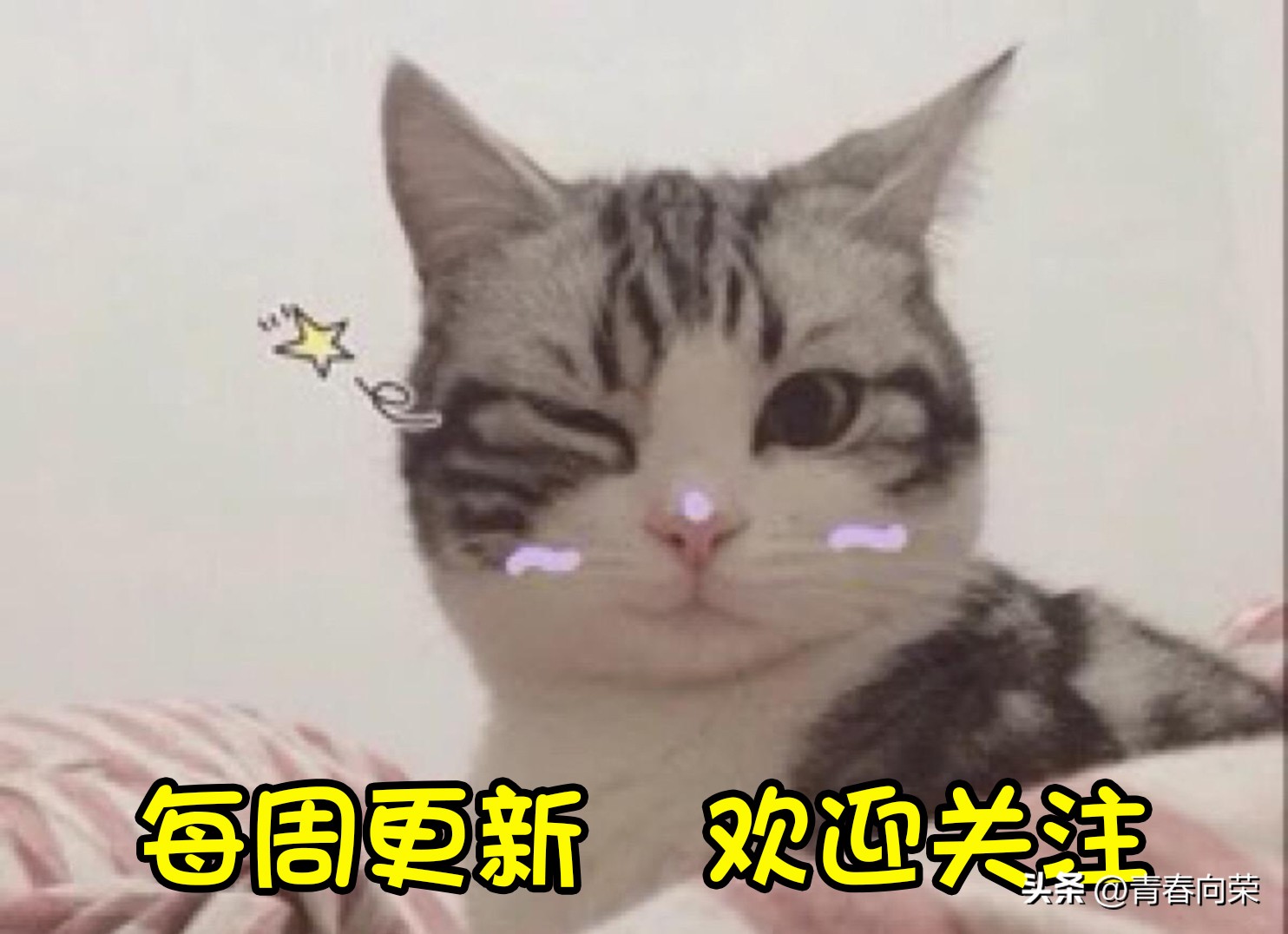 iphone14系列最值得入手的一款,iphone14公开版包含哪些配件