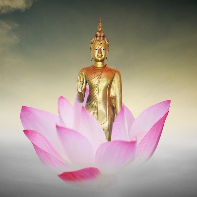 就算生活百般刁难也要从容对待,生活百般刁难却要从容应对