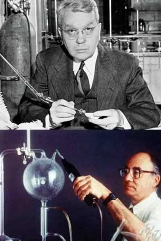 陨石降临地球开启了基因进化之旅,人类进化与外星陨石