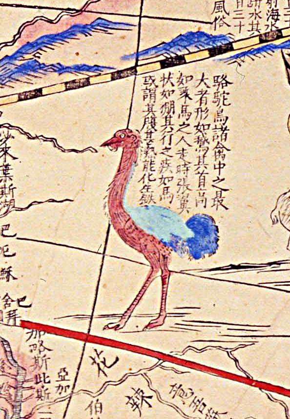 世界都有哪些神奇的动物??「坤舆全图」告诉你