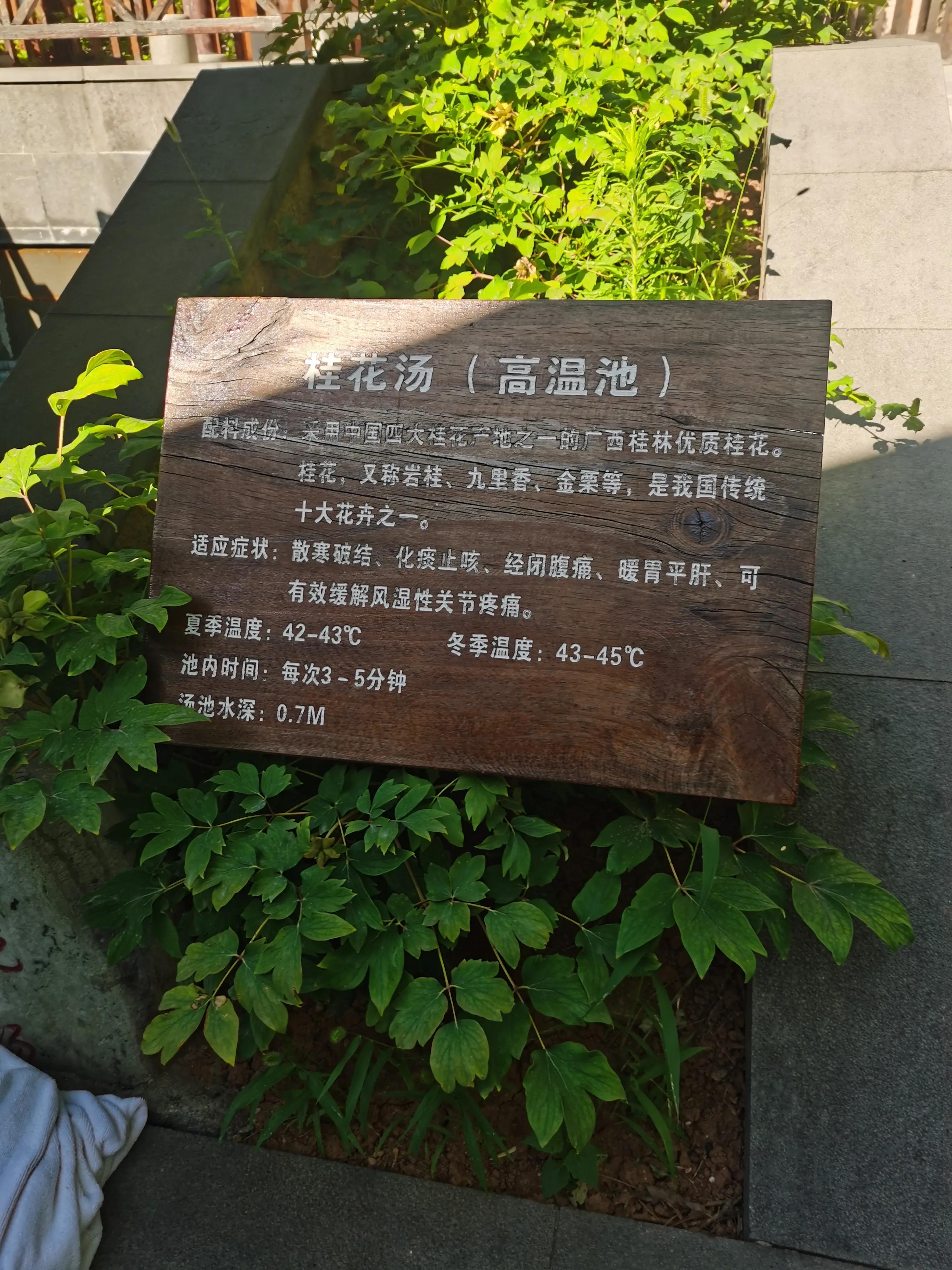 一元钱泡个温泉真舒服