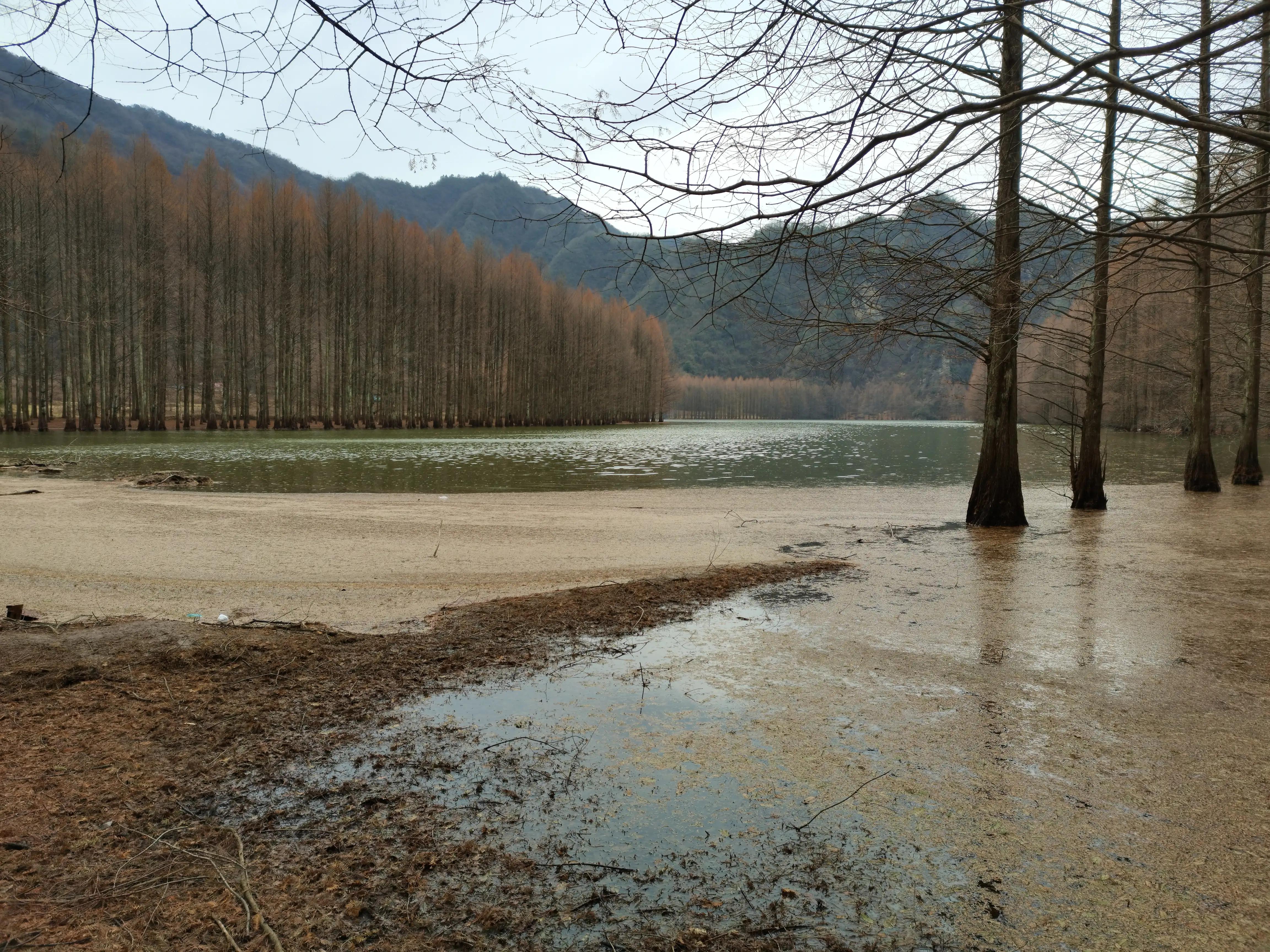 冬日里的汉中美景,南郑龙池秋色视频