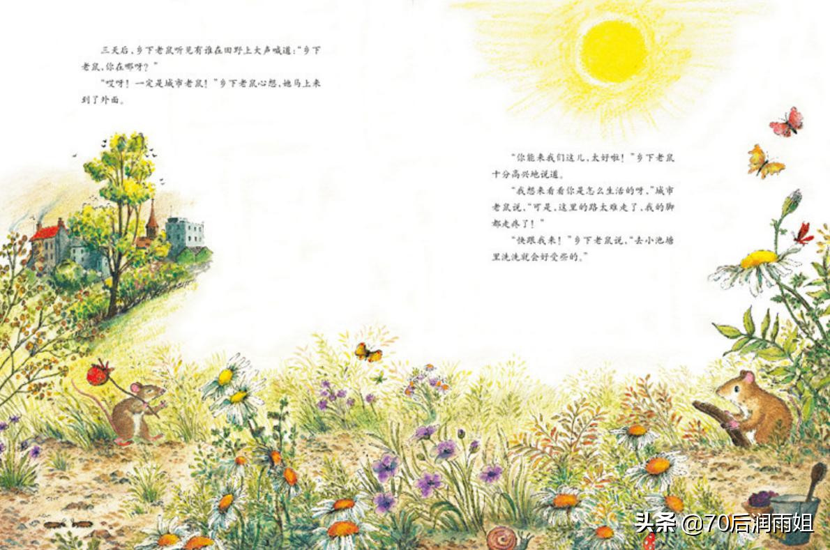 绘本城里老鼠和乡下老鼠英语提纲,城市老鼠和乡下老鼠绘本