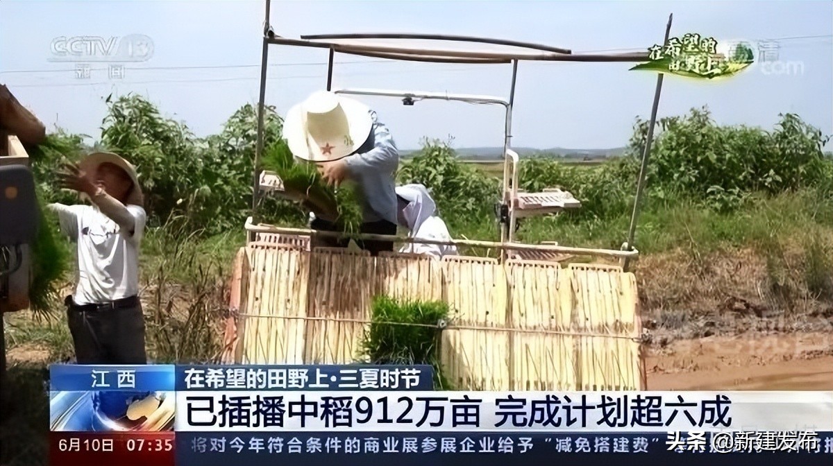 央视《朝闻天下》和《新闻直播间》关注新建区中稻栽播
