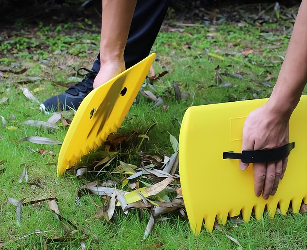 养花有小蚊虫用什么办法可以消灭,家里养花驱蚊虫小妙招