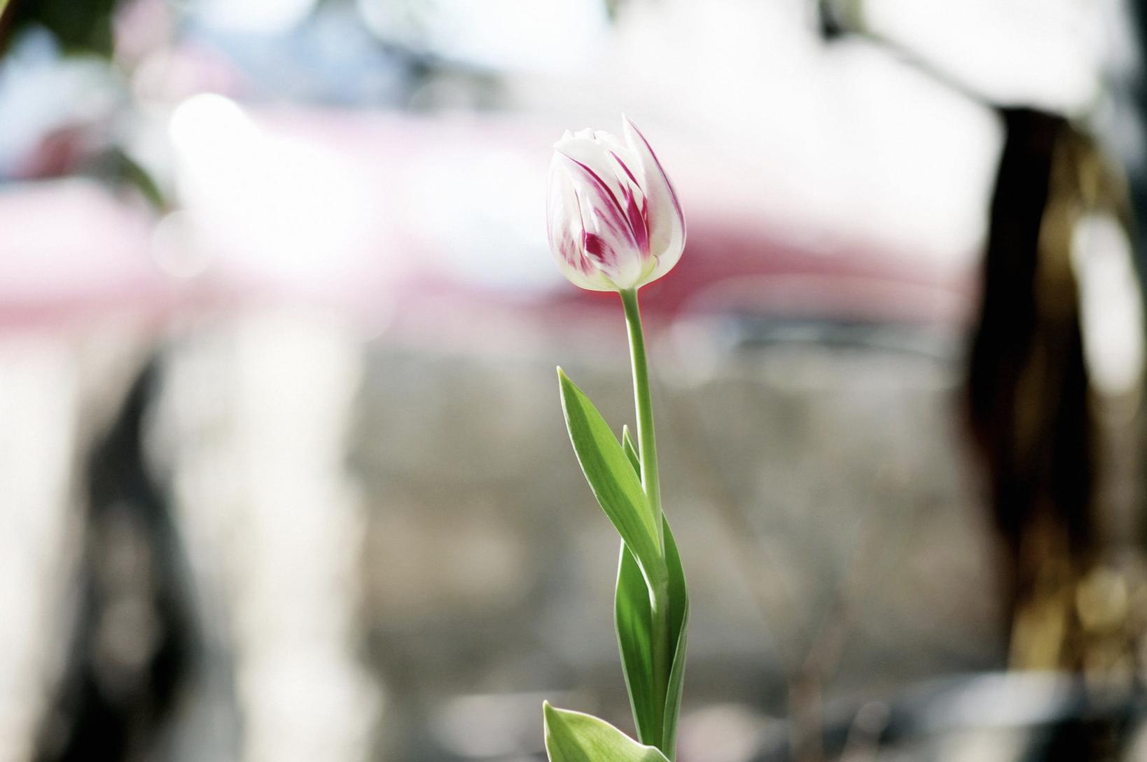孕妇要喝可乐崩溃原视频,孕妇崩溃了怎么办