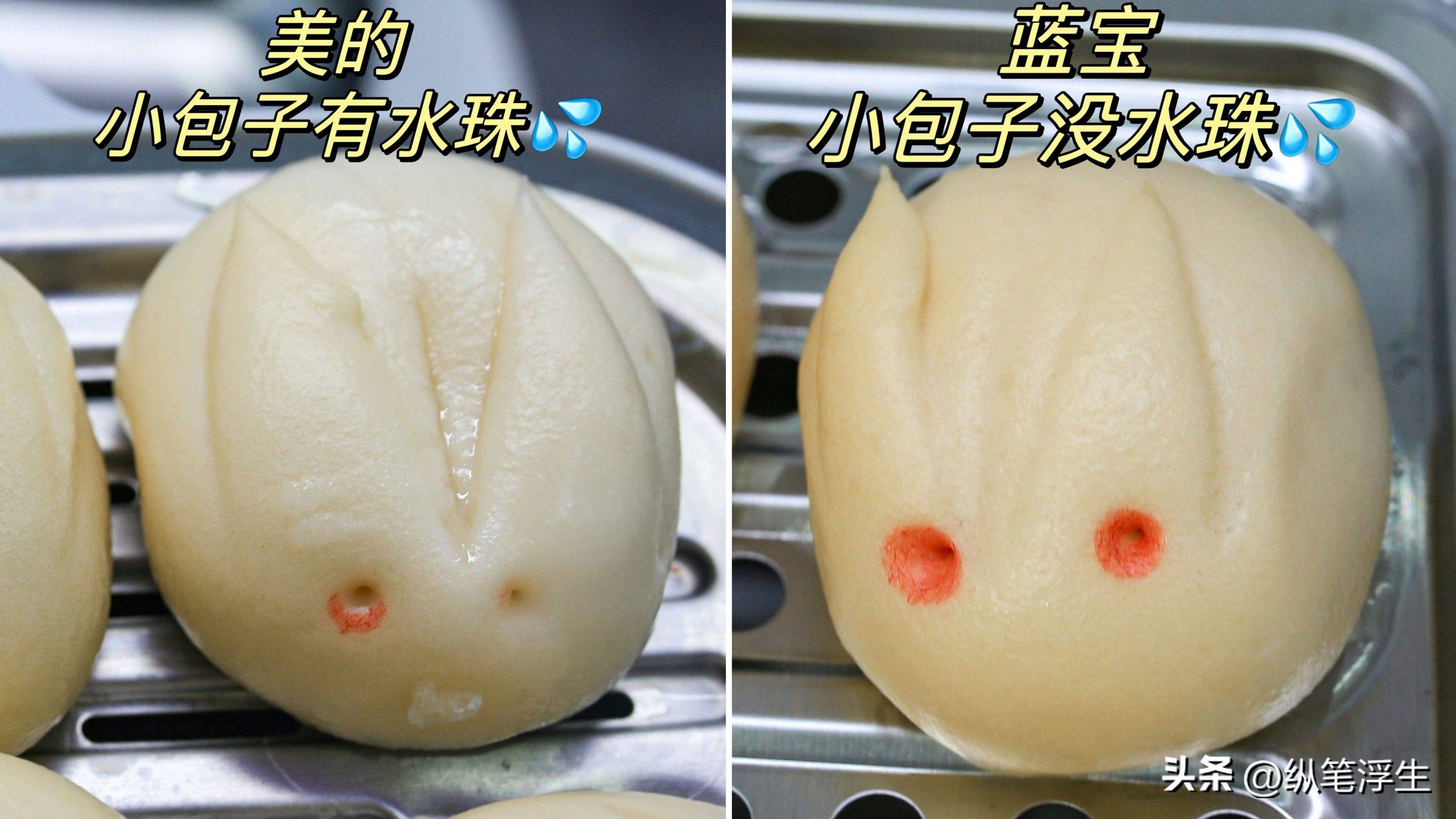 蓝宝电蒸锅对比评测,蓝宝电蒸锅真实测评