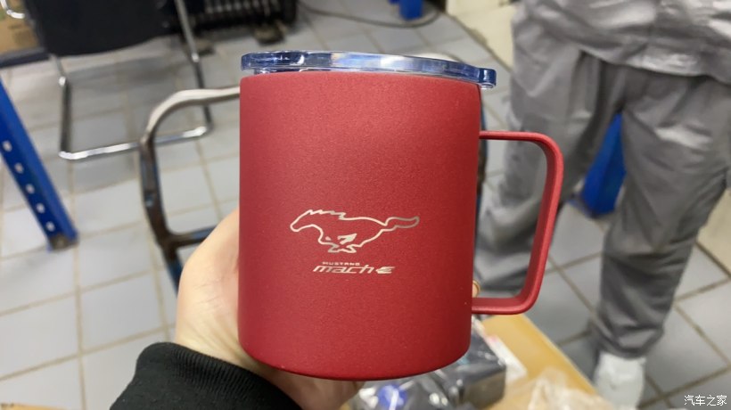 mustangmache车主的真实感受,mustangmach-e提车交付