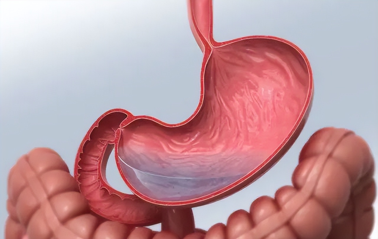 杏林百科|便血了！我该挂哪个科？