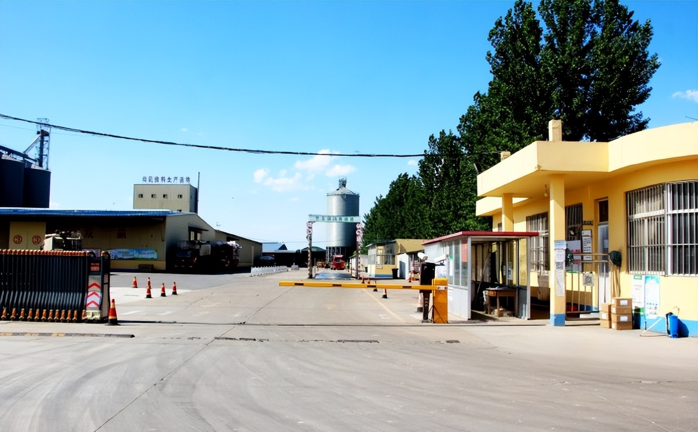 体检·小酌·途中·公园·侄女·其它